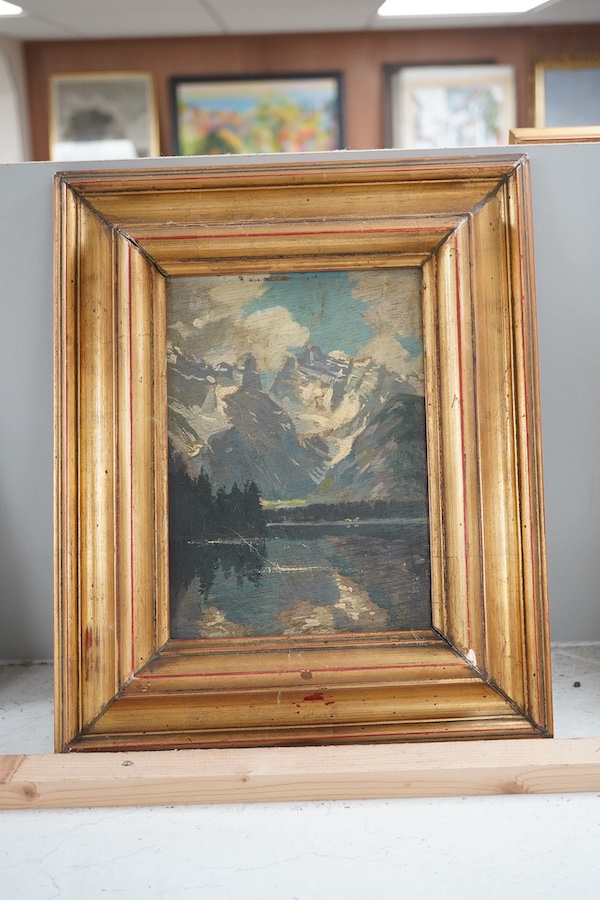 Frankel, Italian oil on board, ‘Lago Di Landro Con Cristallo, Cortina’, unsigned, inscribed verso, 31 x 15cm, gilt framed. Condition - fair, would benefit from a clean